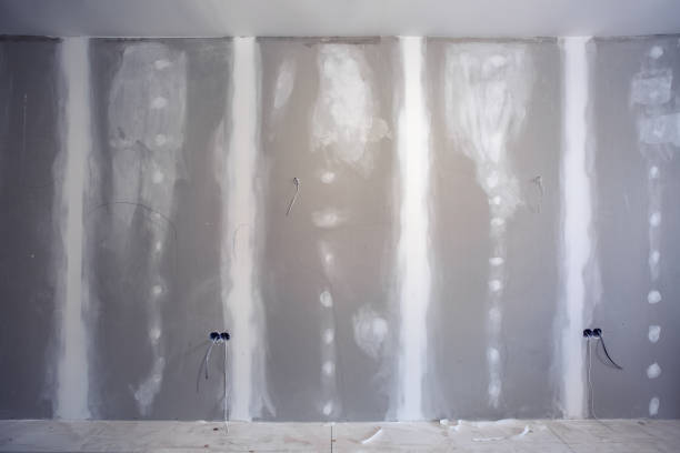 Best Water-Damaged Drywall Repair  in Staunton, IL